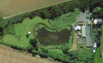 3 acres of Ponds02