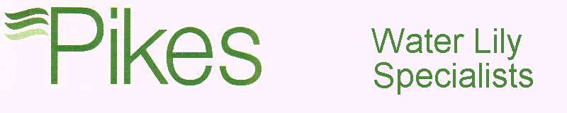 PikesBanner04