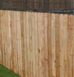 fencing